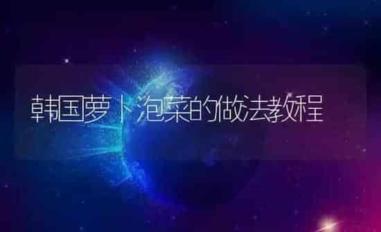 韩国萝卜泡菜的做法教程 | 养殖资料投稿