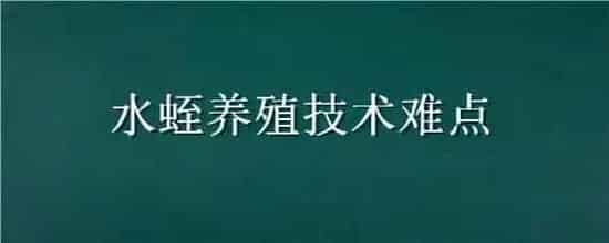 水蛭养殖技术难点