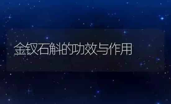 金钗石斛的功效与作用 | 养殖资料投稿