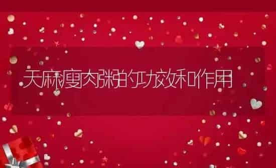天麻瘦肉粥的功效和作用 | 养殖资讯