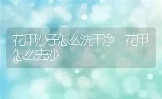 花甲沙子怎么洗干净 花甲怎么去沙 | 养殖资料投稿