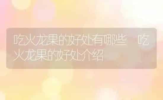 吃火龙果的好处有哪些 吃火龙果的好处介绍 | 养殖资料投稿