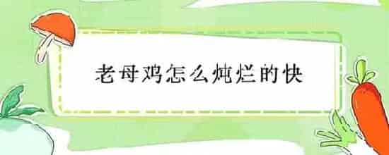 老母鸡怎么炖烂的快