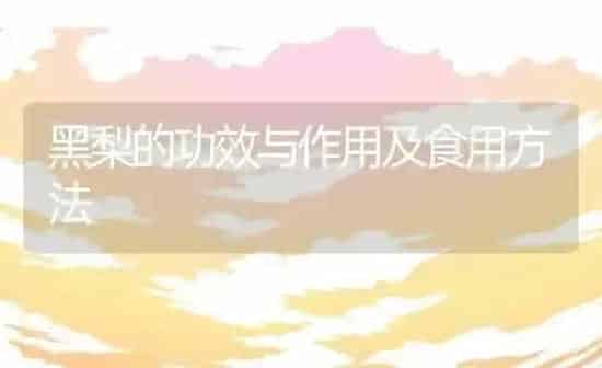 黑梨的功效与作用及食用方法 | 养殖资料投稿