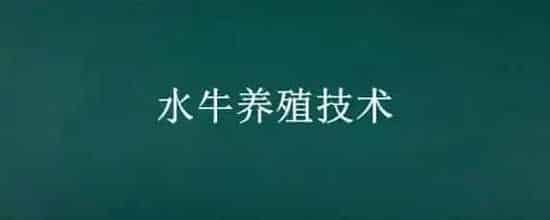 水牛养殖技术