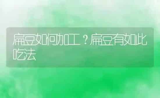 扁豆如何加工？扁豆有如此吃法 | 养殖资料投稿