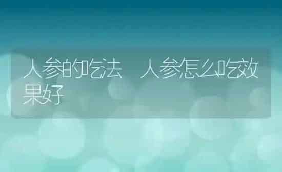 人参的吃法 人参怎么吃效果好 | 养殖资料投稿