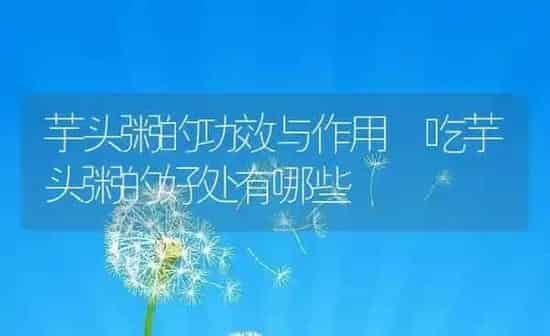 芋头粥的功效与作用 吃芋头粥的好处有哪些 | 养殖资讯