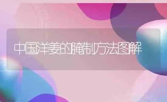 中国洋姜的腌制方法图解 | 养殖资料投稿