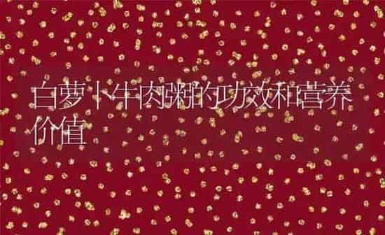 白萝卜牛肉粥的功效和营养价值 | 养殖资讯