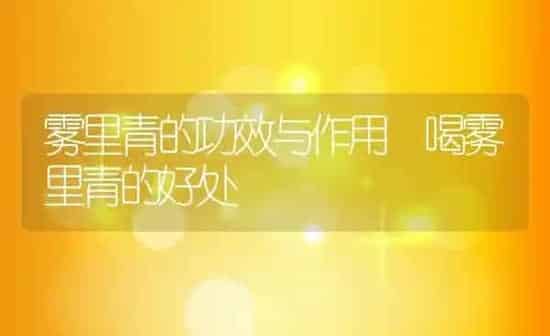 雾里青的功效与作用 喝雾里青的好处 | 养殖资料投稿