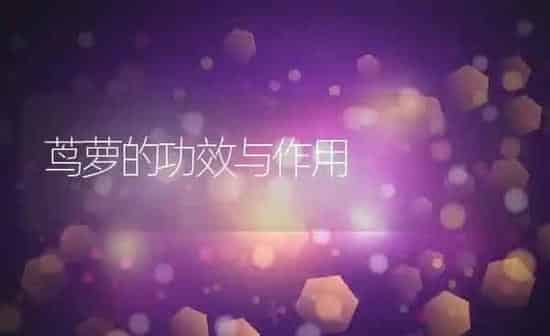 茑萝的功效与作用 | 养殖资料投稿