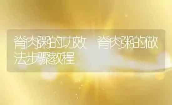 脊肉粥的功效 脊肉粥的做法步骤教程 | 养殖资讯