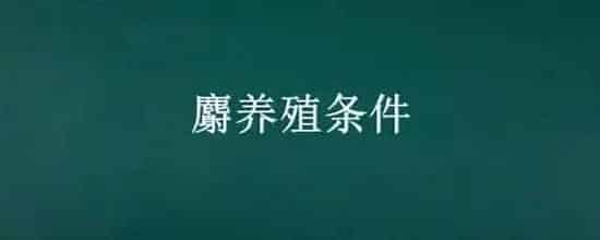 麝养殖条件