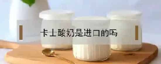 卡士酸奶是进口的吗