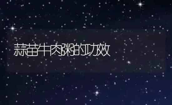 蒜苗牛肉粥的功效 | 养殖资料投稿