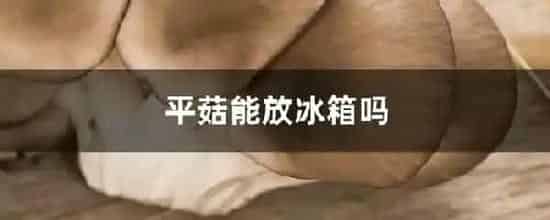平菇能放冰箱吗