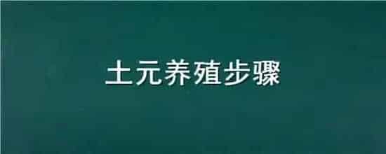 土元养殖步骤