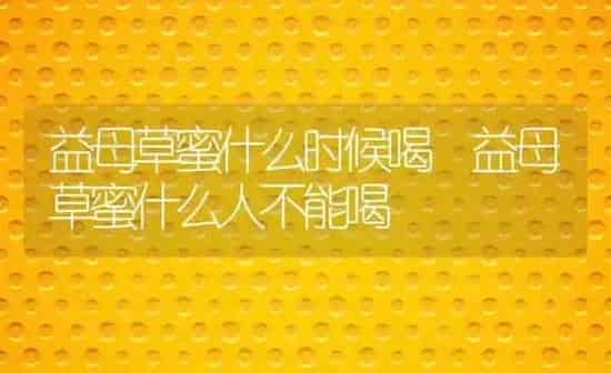 益母草蜜什么时候喝 益母草蜜什么人不能喝 | 养殖资料投稿
