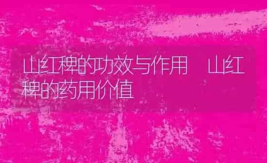 山红稗的功效与作用 山红稗的药用价值 | 养殖资料投稿