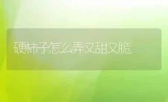 硬柿子怎么弄又甜又脆 | 养殖资料投稿