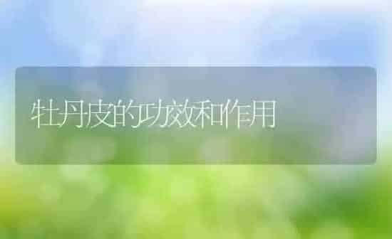 牡丹皮的功效和作用 | 养殖资料投稿