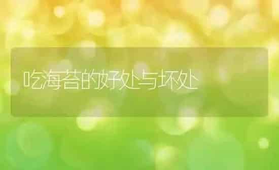 吃海苔的好处与坏处 | 养殖资料投稿