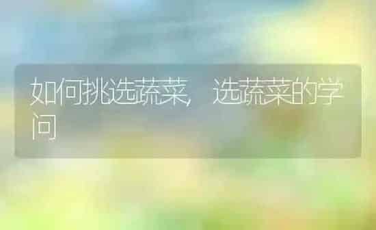 如何挑选蔬菜,选蔬菜的学问 | 养殖资料投稿
