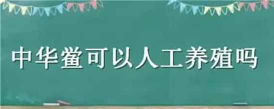 中华鲎可以人工养殖吗