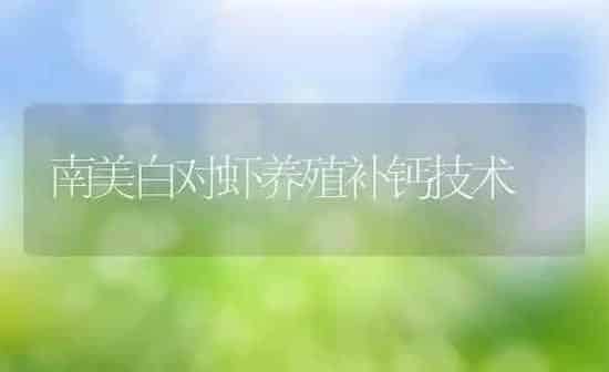 南美白对虾养殖补钙技术 | 养殖资讯