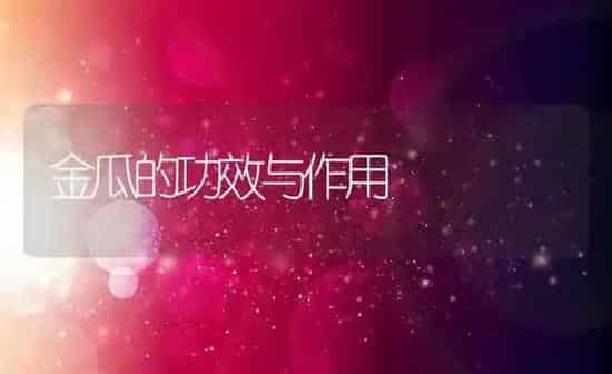 金瓜的功效与作用 | 养殖资料投稿