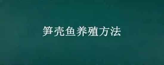 笋壳鱼养殖方法