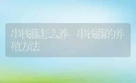 串钱藤怎么养 串钱藤的养殖方法 | 养殖资料投稿