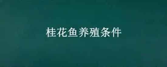 桂花鱼养殖条件