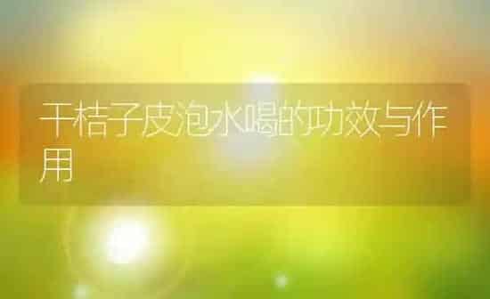 干桔子皮泡水喝的功效与作用 | 养殖资料投稿