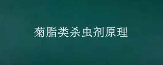 菊脂类杀虫剂原理