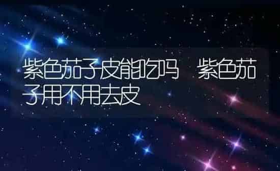 紫色茄子皮能吃吗 紫色茄子用不用去皮 | 养殖资料投稿