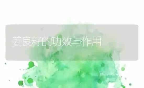 姜良籽的功效与作用 | 养殖资料投稿
