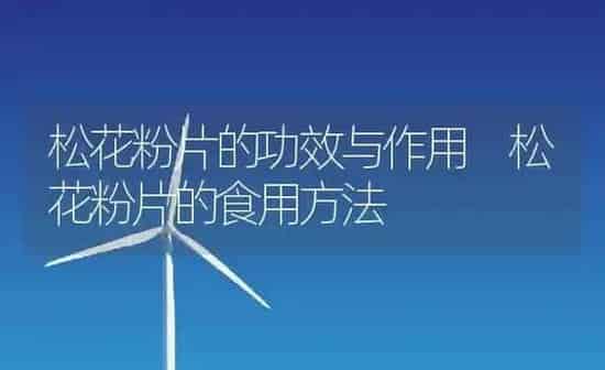 松花粉片的功效与作用 松花粉片的食用方法 | 养殖资料投稿