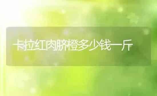 卡拉红肉脐橙多少钱一斤 | 养殖资讯