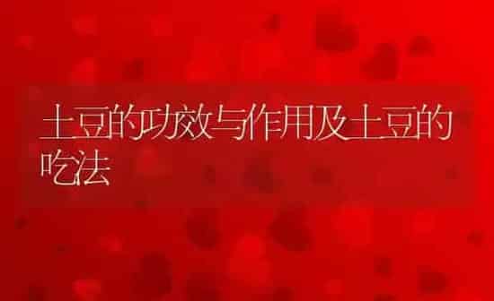 土豆的功效与作用及土豆的吃法 | 养殖资料投稿