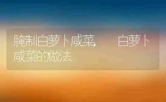 腌制白萝卜咸菜, 白萝卜咸菜的做法 | 养殖资料投稿