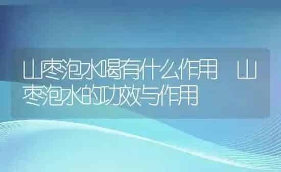 山枣泡水喝有什么作用 山枣泡水的功效与作用 | 养殖资料投稿