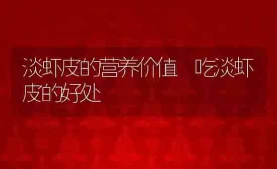 淡虾皮的营养价值 吃淡虾皮的好处 | 养殖资料投稿