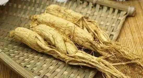 黄参的功效与作用 黄参的吃法