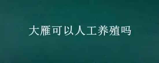 大雁可以人工养殖吗