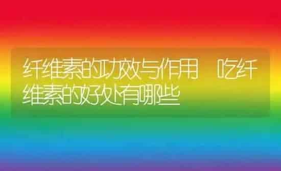 纤维素的功效与作用 吃纤维素的好处有哪些 | 养殖资料投稿