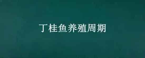丁桂鱼养殖周期