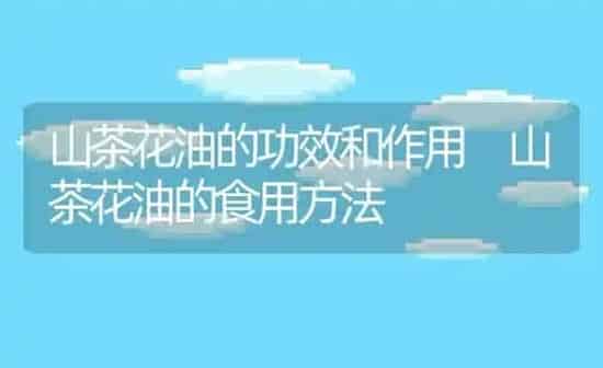 山茶花油的功效和作用 山茶花油的食用方法 | 养殖资料投稿
