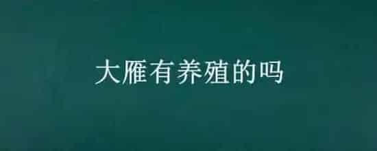 大雁有养殖的吗